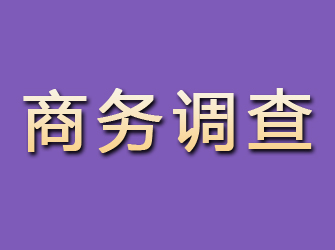 吉林市商务调查